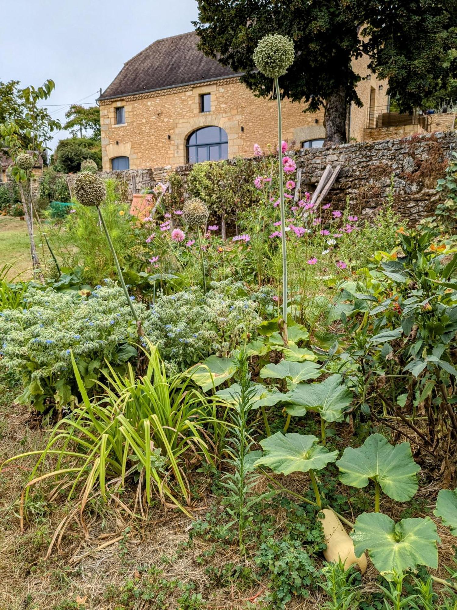 La Grange Symphorine, Chambre D'Hotes De Charme Situee Entre La Vallee De La Dordogne Et La Vallee De La Vezere Meyrals Extérieur photo